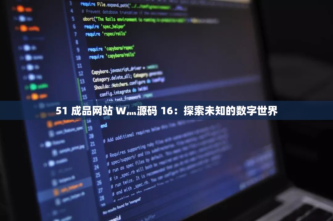 51 成品网站 W灬源码 16：探索未知的数字世界