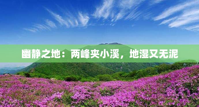 幽静之地：两峰夹小溪，地湿又无泥