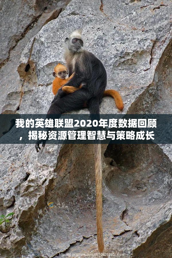 我的英雄联盟2020年度数据回顾，揭秘资源管理智慧与策略成长之路