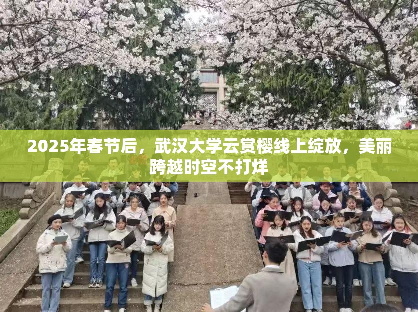 2025年春节后，武汉大学云赏樱线上绽放，美丽跨越时空不打烊