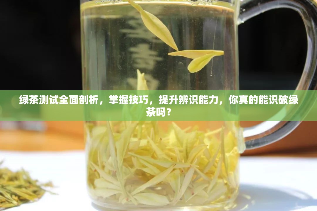 绿茶测试全面剖析，掌握技巧，提升辨识能力，你真的能识破绿茶吗？