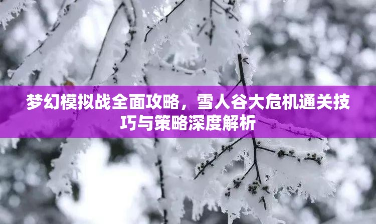 梦幻模拟战全面攻略，雪人谷大危机通关技巧与策略深度解析