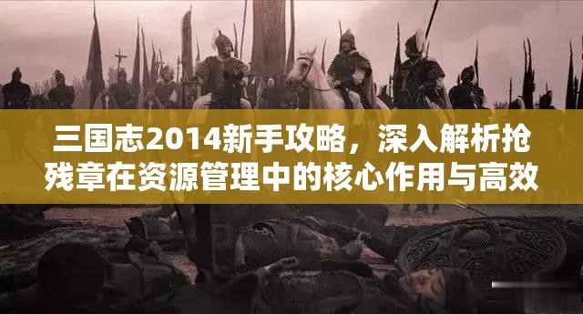 三国志2014新手攻略，深入解析抢残章在资源管理中的核心作用与高效运用策略