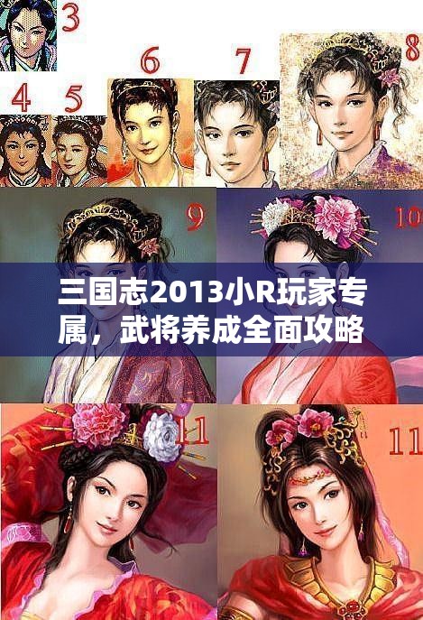 三国志2013小R玩家专属，武将养成全面攻略，智慧策略双管齐下