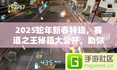 2025蛇年新春特辑，赛道之王秘籍大公开，助你超车技巧如行云流水