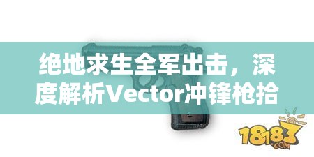 绝地求生全军出击，深度解析Vector冲锋枪拾取秘籍与最佳配件搭配攻略