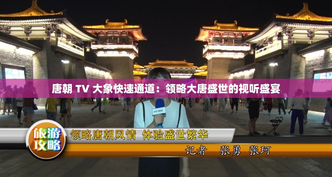 唐朝 TV 大象快速通道：领略大唐盛世的视听盛宴