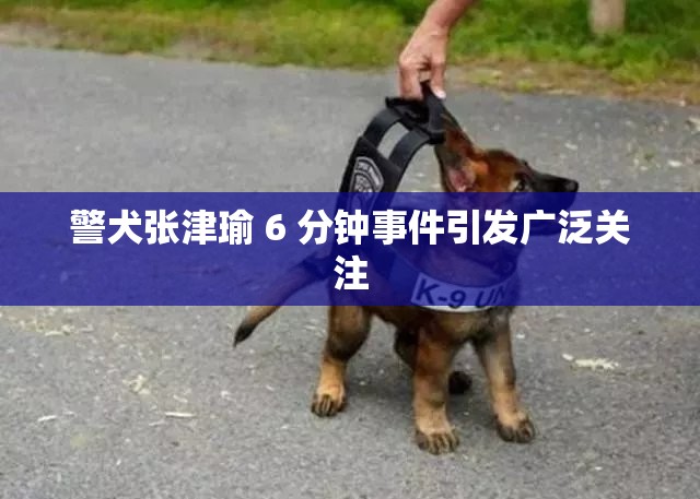 警犬张津瑜 6 分钟事件引发广泛关注