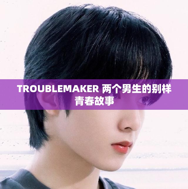 TROUBLEMAKER 两个男生的别样青春故事