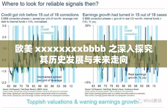 欧美 xxxxxxxxbbbb 之深入探究其历史发展与未来走向