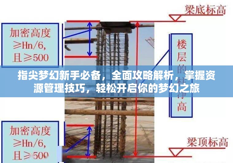 指尖梦幻新手必备，全面攻略解析，掌握资源管理技巧，轻松开启你的梦幻之旅