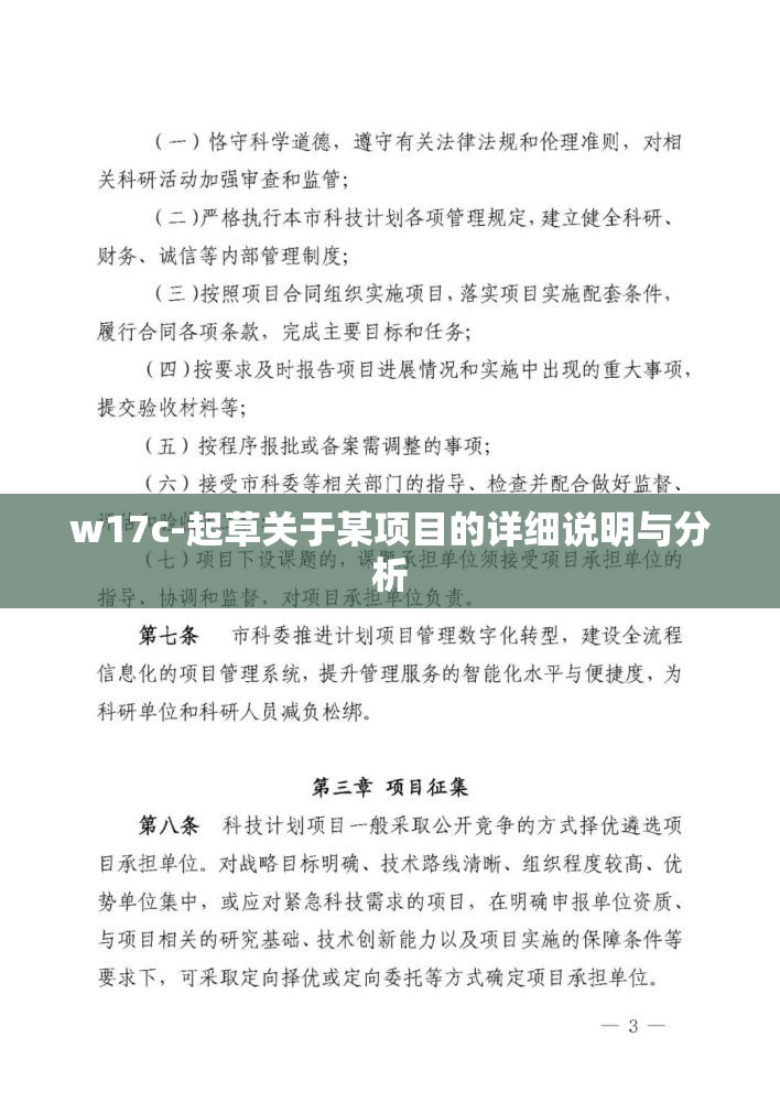 w17c-起草关于某项目的详细说明与分析