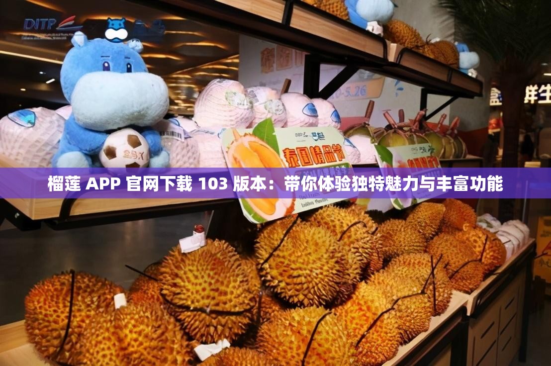 榴莲 APP 官网下载 103 版本：带你体验独特魅力与丰富功能