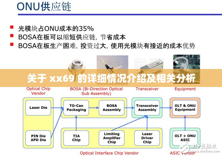 关于 xx69 的详细情况介绍及相关分析