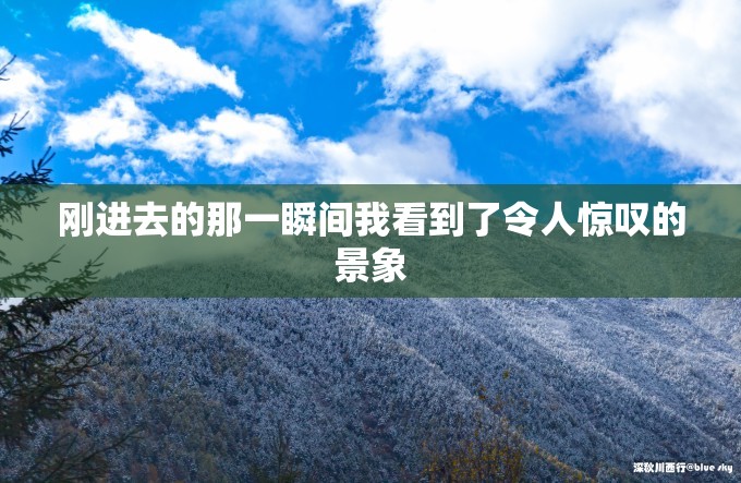 刚进去的那一瞬间我看到了令人惊叹的景象