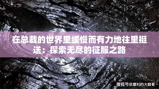 在总裁的世界里缓慢而有力地往里挺送：探索无尽的征服之路