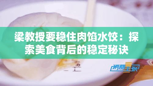 梁教授要稳住肉馅水饺：探索美食背后的稳定秘诀