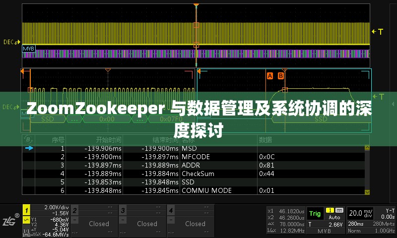 ZoomZookeeper 与数据管理及系统协调的深度探讨