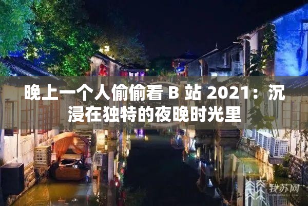 晚上一个人偷偷看 B 站 2021：沉浸在独特的夜晚时光里