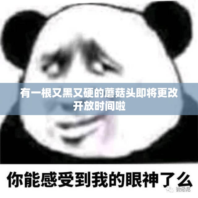 有一根又黑又硬的蘑菇头即将更改开放时间啦