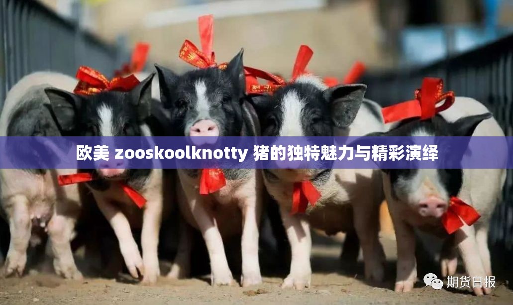 欧美 zooskoolknotty 猪的独特魅力与精彩演绎