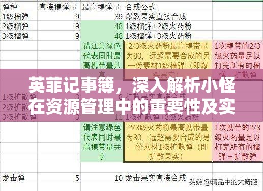 英菲记事簿，深入解析小怪在资源管理中的重要性及实施高效利用策略