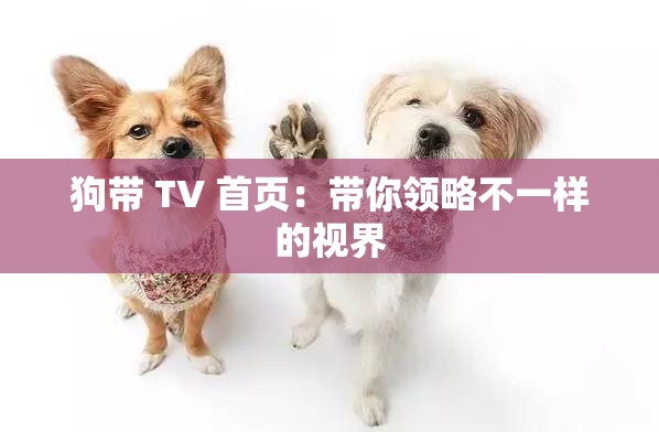 狗带 TV 首页：带你领略不一样的视界