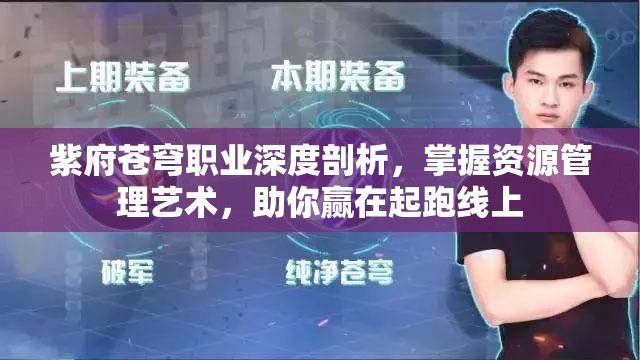 紫府苍穹职业深度剖析，掌握资源管理艺术，助你赢在起跑线上