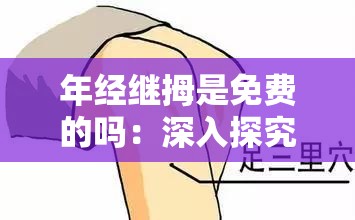 年经继拇是免费的吗：深入探究其背后的真相与影响