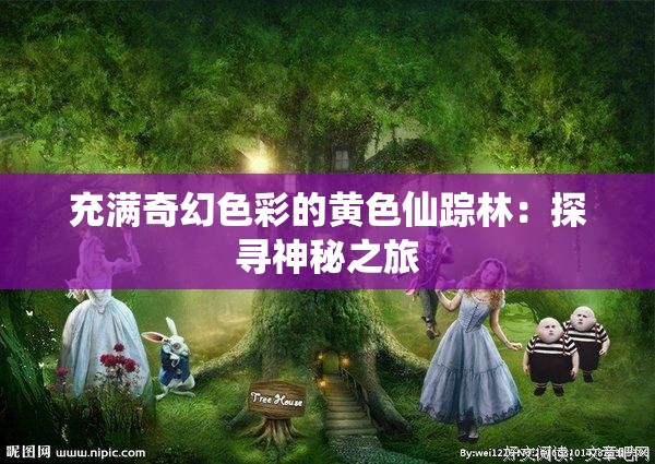 充满奇幻色彩的黄色仙踪林：探寻神秘之旅