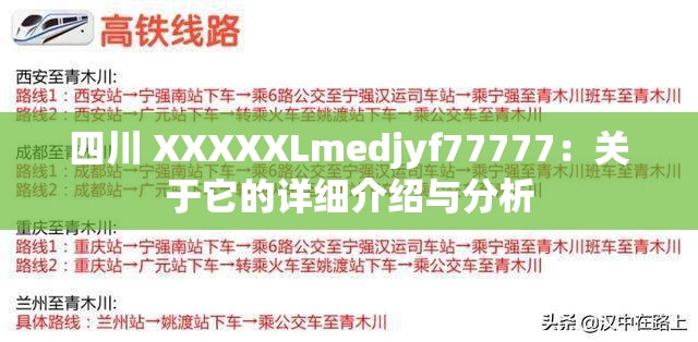 四川 XXXXXLmedjyf77777：关于它的详细介绍与分析