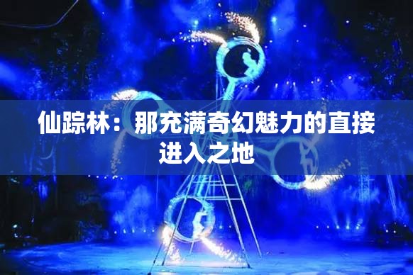 仙踪林：那充满奇幻魅力的直接进入之地