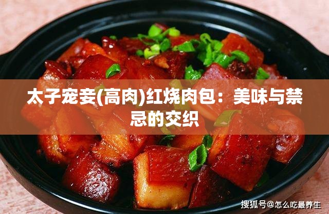 太子宠妾(高肉)红烧肉包：美味与禁忌的交织