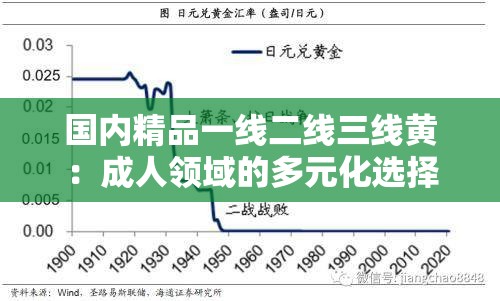 国内精品一线二线三线黄：成人领域的多元化选择