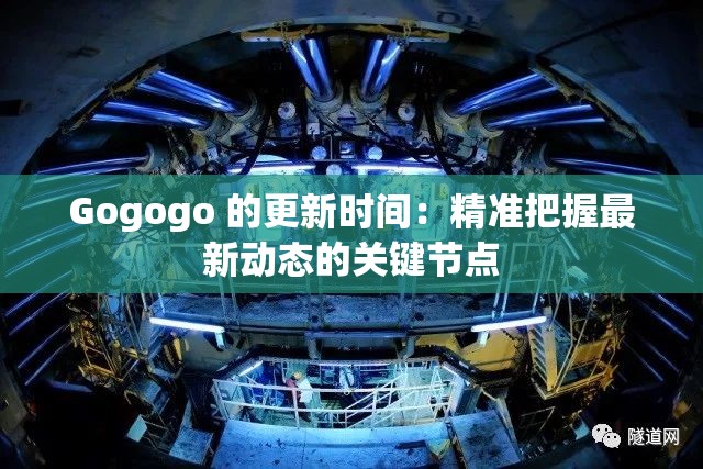 Gogogo 的更新时间：精准把握最新动态的关键节点