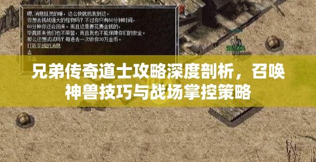 兄弟传奇道士攻略深度剖析，召唤神兽技巧与战场掌控策略