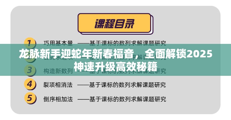 龙脉新手迎蛇年新春福音，全面解锁2025神速升级高效秘籍