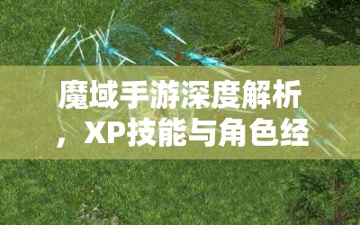 魔域手游深度解析，XP技能与角色经验双赢策略及资源管理艺术