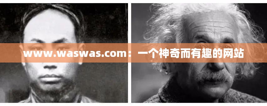 www.waswas.com：一个神奇而有趣的网站