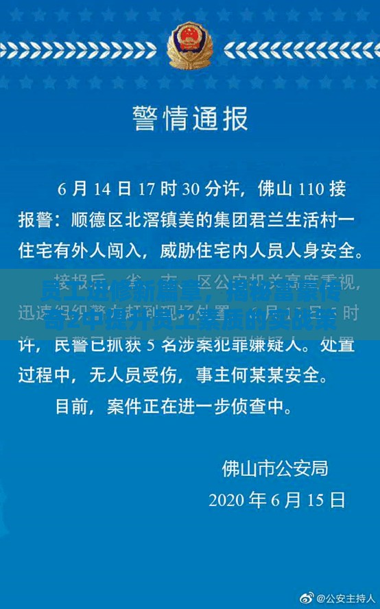 员工进修新篇章，揭秘富豪传奇2中提升员工素质的实战策略