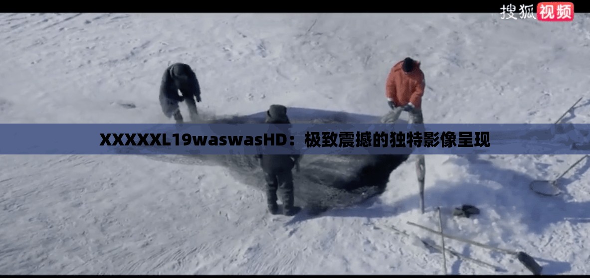 XXXXXL19waswasHD：极致震撼的独特影像呈现