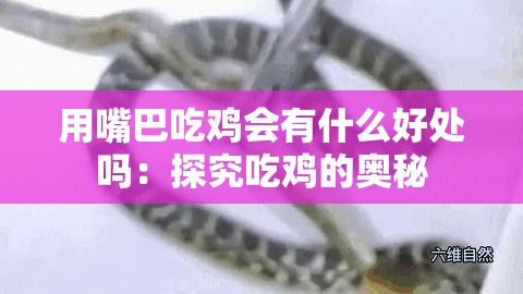 用嘴巴吃鸡会有什么好处吗：探究吃鸡的奥秘