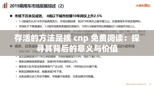 存活的方法是挨 cnp 免费阅读：探寻其背后的意义与价值