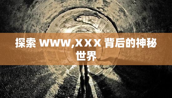 探索 WWW,XⅩX 背后的神秘世界