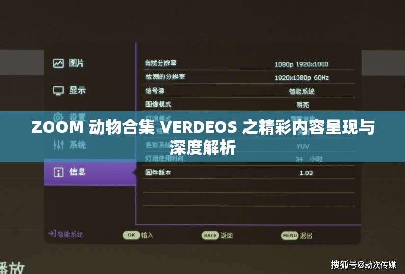 ZOOM 动物合集 VERDEOS 之精彩内容呈现与深度解析