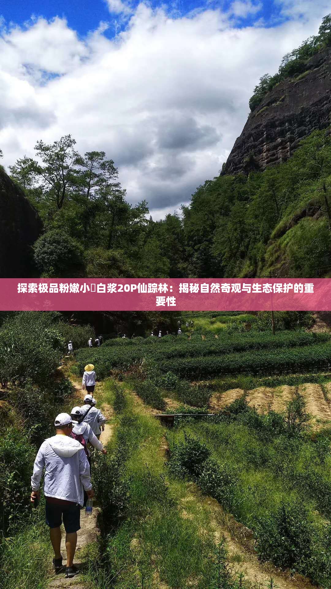 探索极品粉嫩小泬白浆20P仙踪林：揭秘自然奇观与生态保护的重要性