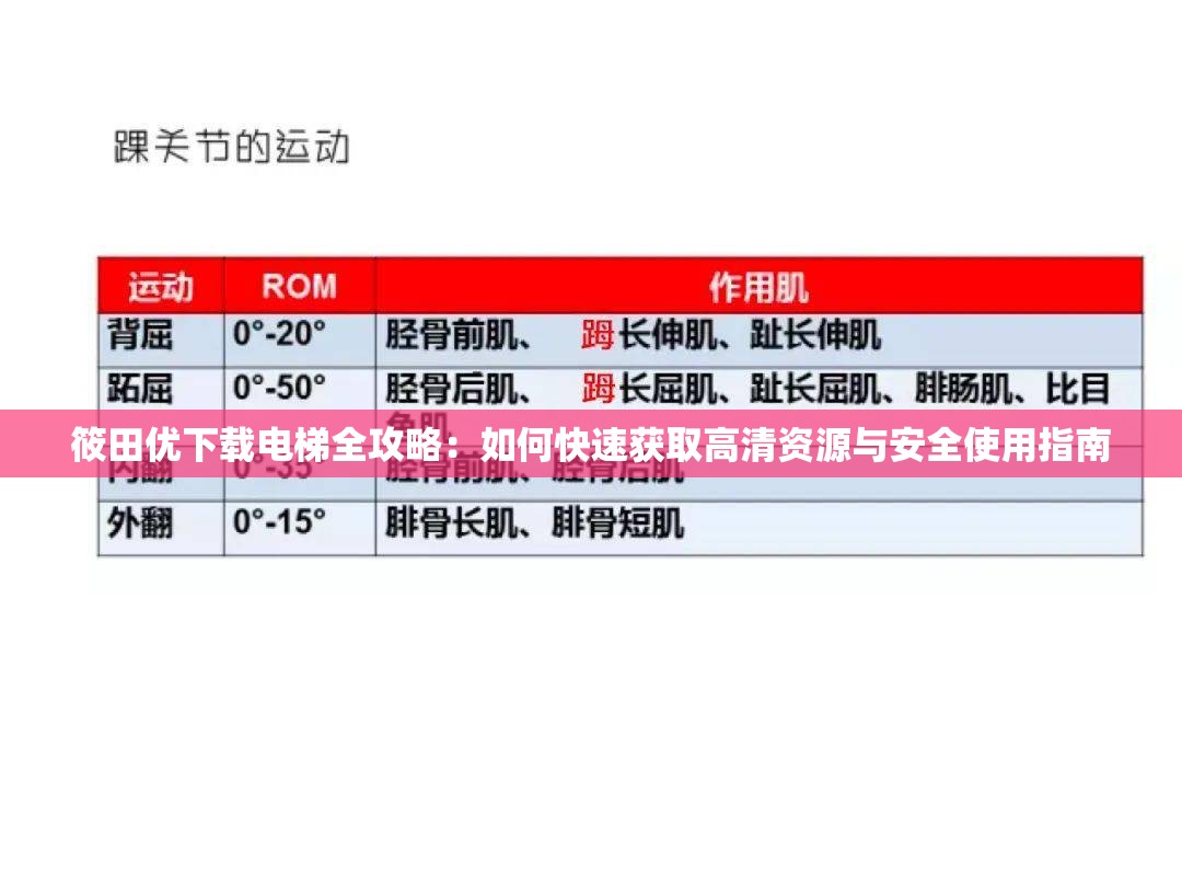 筱田优下载电梯全攻略：如何快速获取高清资源与安全使用指南