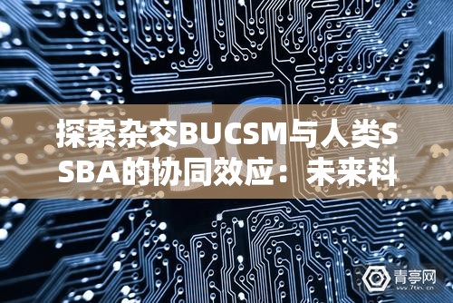 探索杂交BUCSM与人类SSBA的协同效应：未来科技与生物融合的前沿研究