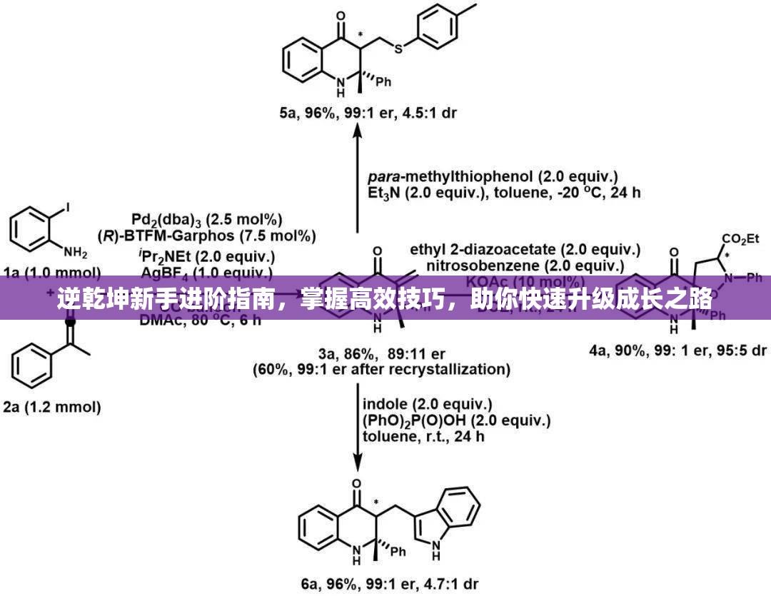 逆乾坤新手进阶指南，掌握高效技巧，助你快速升级成长之路