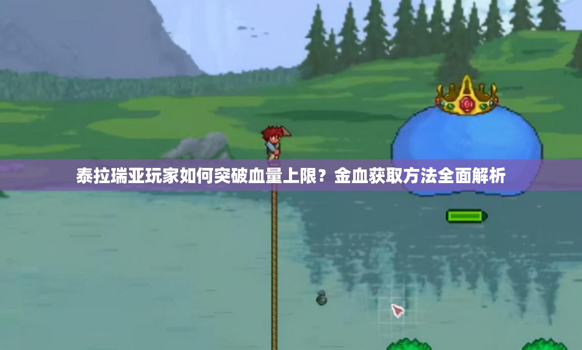 泰拉瑞亚玩家如何突破血量上限？金血获取方法全面解析